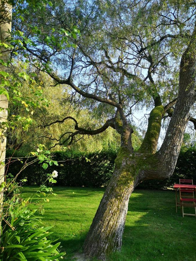Le Domaine De Coat Rogan, La Chambre Du Jaudy Pommerit-Jaudy ภายนอก รูปภาพ